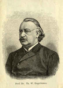 104526 Portret van Theodor Wilhelm Engelmann, geboren 1843, hoogleraar in de fysiologie aan de Utrechtse hogeschool ...